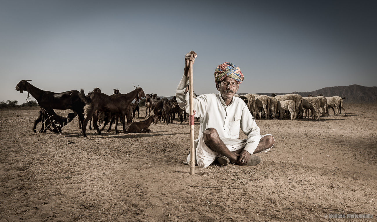 Rajasthan © Mallaun Photography