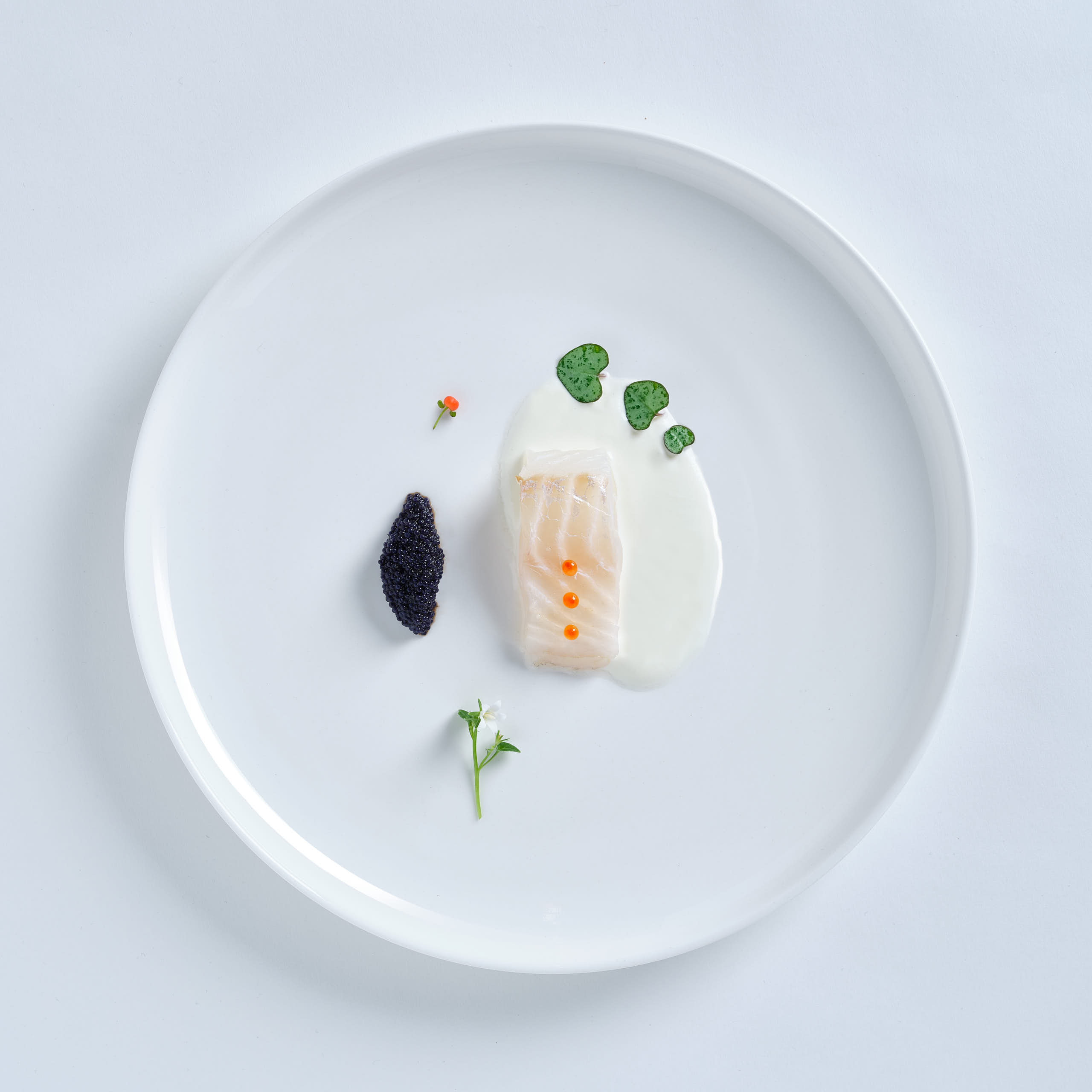 Perfekte Sterneküche. Kaviar mit Dorsch und frischen Kräutern aus dem OBI-Baumarkt
